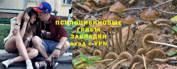 прущие грибы Белоозёрский